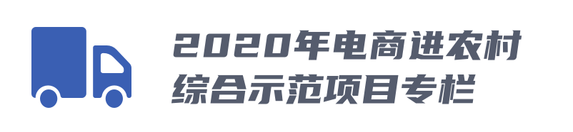 2020电商进农村.png
